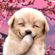 Freeman1974 Freeman Github - Download Gorgeous City Design | High Resolution