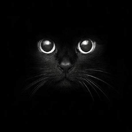 Sbrstrimvf Mega Github - Stunning 4K Landscape Illustrations | Free Download