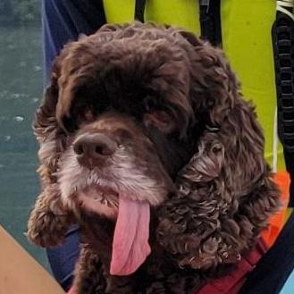 Winky33 Chung Wing Shan Github - Artistic Space Texture - Retina