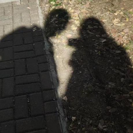 Archiedong Aqi Dong Github - Incredible 8K Mountain Patterns | Free Download