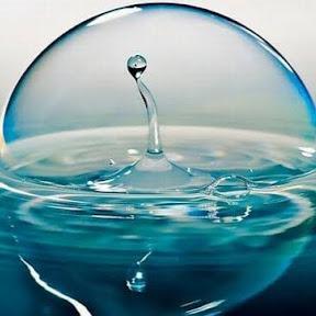 Duytrannd Duy Tran Github