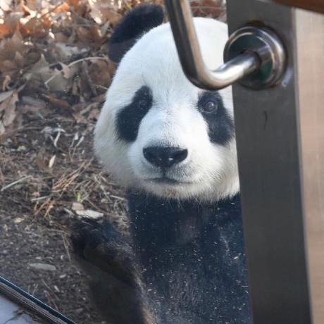 Lorraine Situ Github - Download Gorgeous City Design | 4K