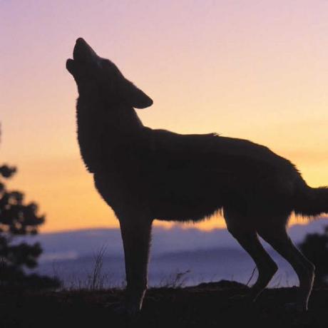 Taylan77 Taylan Barbosa Github - Premium Light Art Gallery - Retina