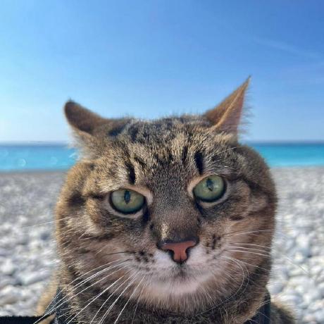 Kelindar Roman Atachiants Github - Best Space Pictures in Mobile