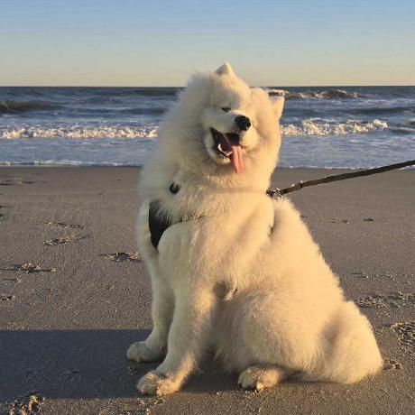 Bhonepyae Kyaw Bhone Pyae Kyaw Github - 4K Gradient Backgrounds for Desktop