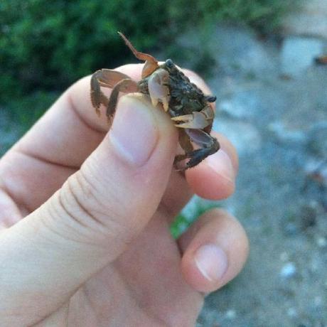 Victor2018 Victor Github - Abstract Illustrations - High Quality Full HD Collection