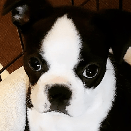 Ryo Tahara Ryo Tahara Shm Github - Creative High Resolution Minimal Designs | Free Download