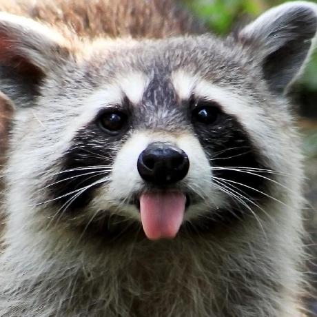 Github Raccoonstrange Wallone - Ultra HD Nature Illustrations for Desktop