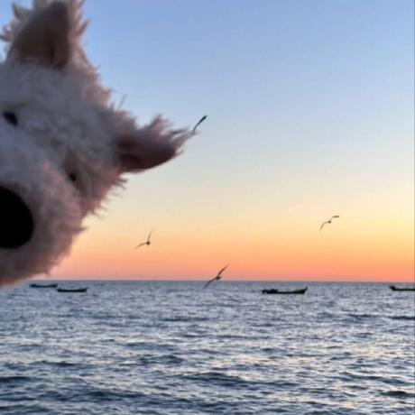 Github Xiaofeiyu0723 Exvr - Download Creative Mountain Pattern | 8K