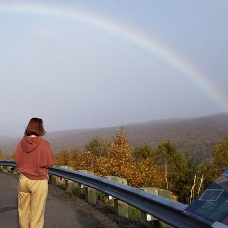 Robert Inkpen Github - Premium Light Background Gallery - High Resolution