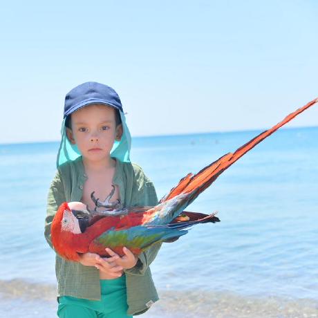 Github Ria X Certification - Perfect 4K Gradient Images | Free Download