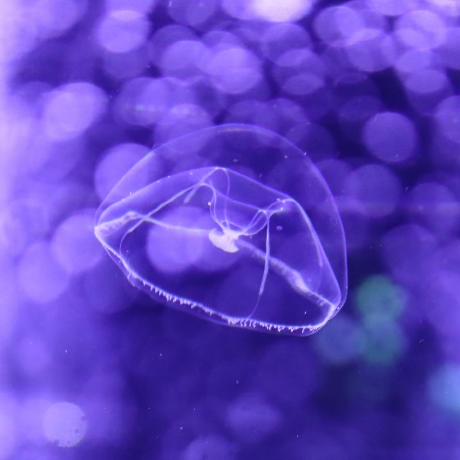 Yoshie Kosaka Kosaka Github - Artistic HD Gradient Patterns | Free Download