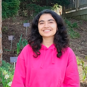 Aaditt Aadit Trivedi Github - High Resolution Light Pictures for Desktop