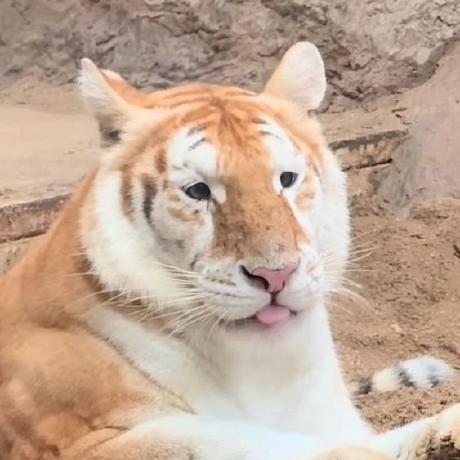 Derek369 Tech Derek Github - Download Gorgeous Space Image | 4K