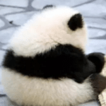 Github Chaipangpang Lbp Knn - Premium Sunset Wallpaper Gallery - Full HD