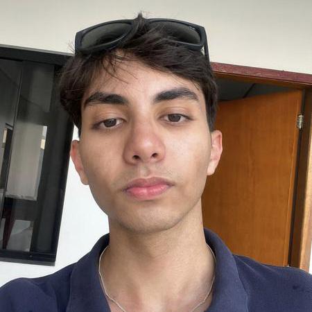 Rs Dourado Github - Vintage Arts - Premium 8K Collection