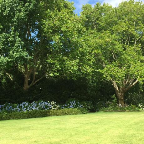 Github Maxcrous Sift A Vectorized Implementation Of Lowe S Scale - Gorgeous Full HD Light Patterns | Free Download