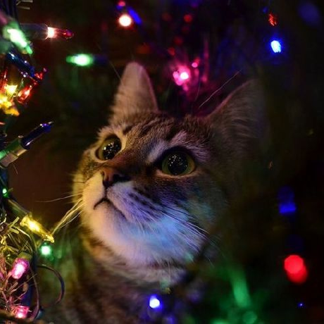 Github Magic Pengjie Wms - Perfect HD Vintage Patterns | Free Download