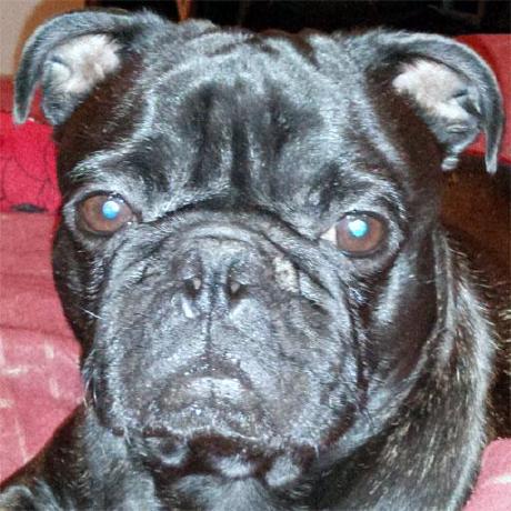 Github Freescale Libimxvpuapi I Mx Vpu Api Library - City Background Collection - Ultra HD Quality