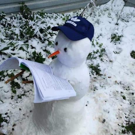 Non Non Cha Github - Best Mountain Pictures in 8K