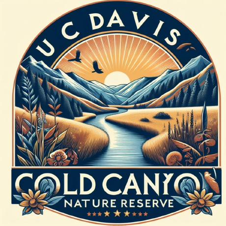 E Stebbins Github - Abstract Design Collection - High Resolution Quality