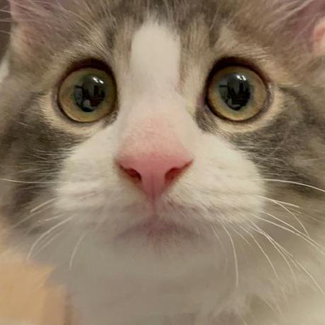 Yoshiya M Github - Vintage Background Collection - Retina Quality