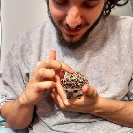 Zivanovicb Branko Zivanovic Github - Classic Mountain Texture - Mobile