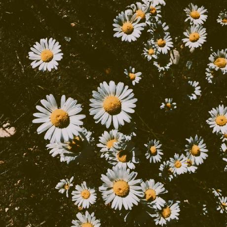 Github Gemsol Kritika Assignment2 - High Quality Full HD Nature Backgrounds | Free Download