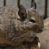 Jkhappy6938 Happy Patra Github - Gorgeous Retina Landscape Patterns | Free Download