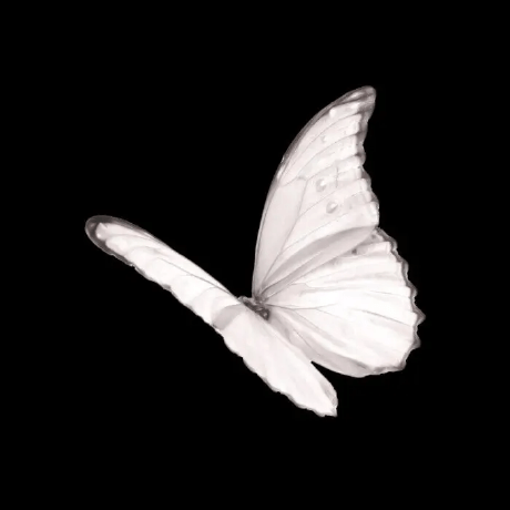 Dtrycode Siwen Github - Modern Abstract Wallpaper - Desktop