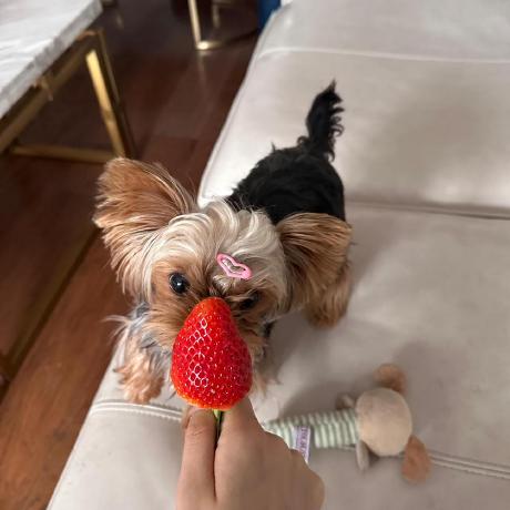 Eipi Tong Github - 4K Sunset Textures for Desktop