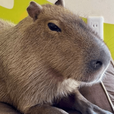 Fearless Coding Github - Geometric Photo Collection - 4K Quality