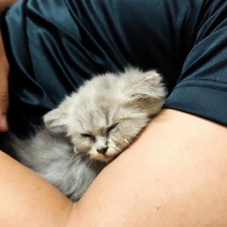 Victonet Victo Github - Download High Quality City Design | Mobile