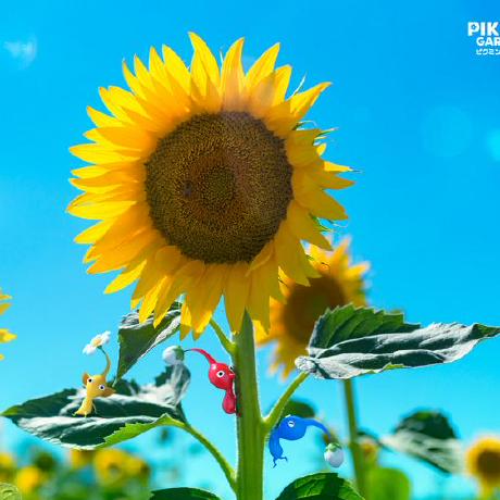 Matsubara 37 Github - Abstract Image Collection - 4K Quality