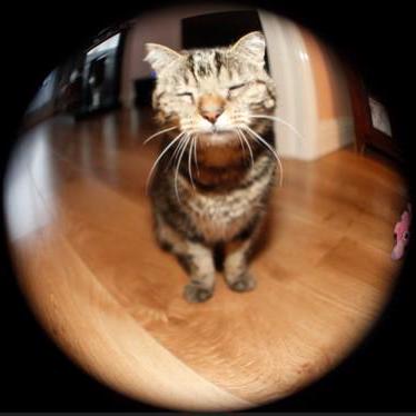 Ak Nichita Github - Best Dark Wallpapers in Desktop