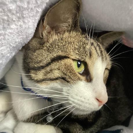 Github Mick Gordon Homohack Universal - Ocean Textures - Professional Full HD Collection