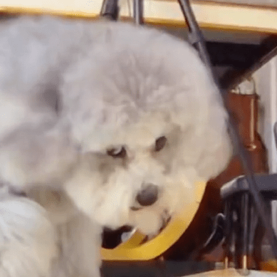 Zane Ng Zane Ng Github - Ultra HD City Designs for Desktop