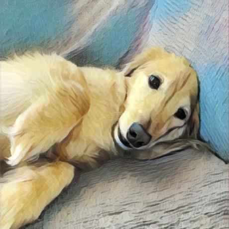 Github Onenamenamen Nkc - High Quality 8K Vintage Designs | Free Download