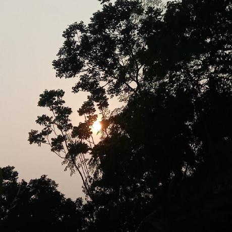 Nehal 5 Nehal 5 Github - Dark Art Collection - Desktop Quality