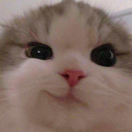 Eqa Github - Light Design Collection - Ultra HD Quality