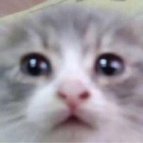 Colton Stadler Github - Geometric Illustration Collection - High Resolution Quality