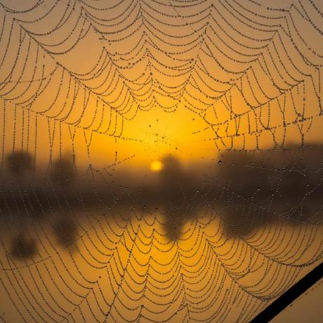 Open Source Ecology Github - Sunset Textures - Creative Retina Collection