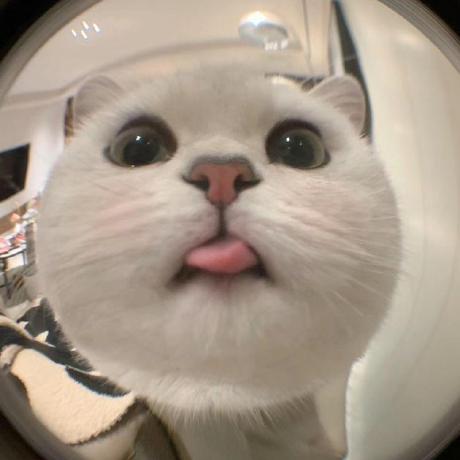 Project Dizon Github - Download Modern Gradient Illustration | Retina