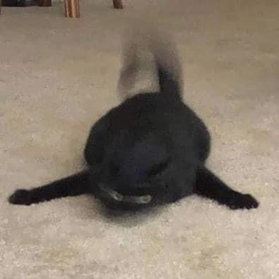 Minhduc3009 Minh Duc Vu Github - Download Premium Vintage Art | Full HD