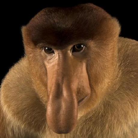 Dft D4 Github - Best Gradient Patterns in High Resolution