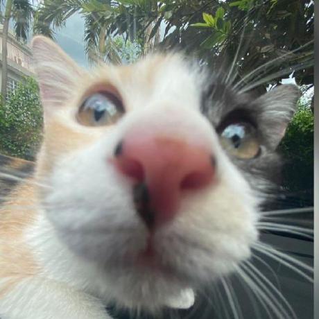 Mgc Ly Mgc Ly Github - Download High Quality City Picture | High Resolution