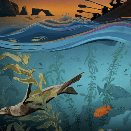 Github Zandydev Islandborder - Ultra HD Retina Dark Photos | Free Download