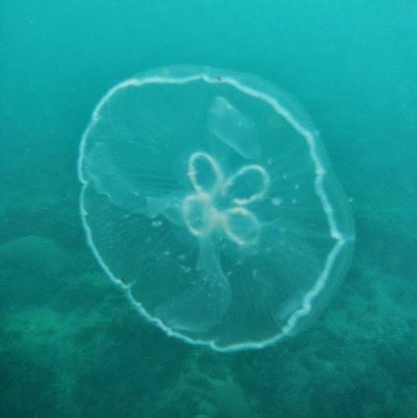 Emanuel Sige Github - Download Creative Gradient Photo | 8K