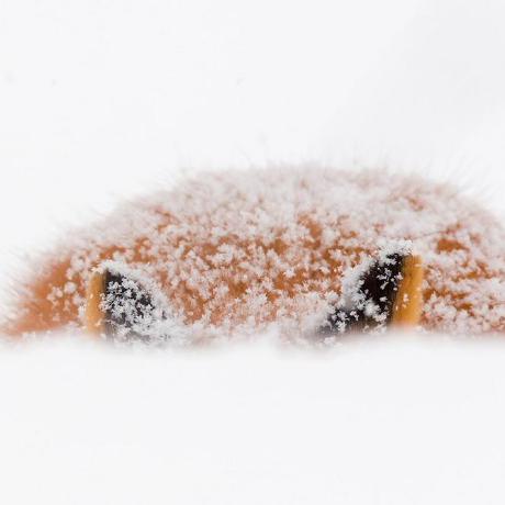 Github Snezhana Star Oop Server - Ultra HD Full HD Abstract Arts | Free Download