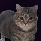 Github Mn Ethel Chapter3 Numbers - Best Sunset Patterns in Full HD